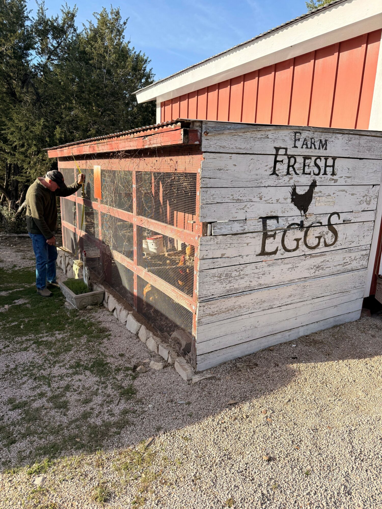 Person painting a wooden chicken coop with a sign that reads 