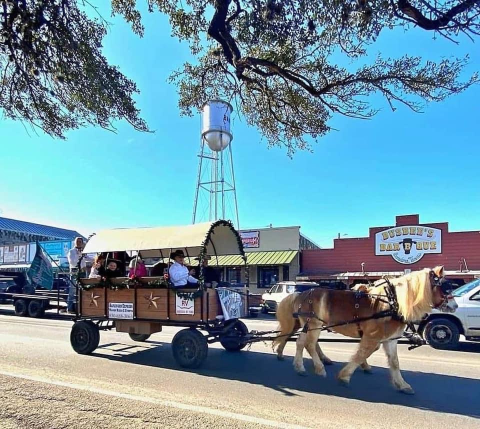 Horse-drawn carriage with people riding, parked on a street near buildings and trees, under a clear blue sky.