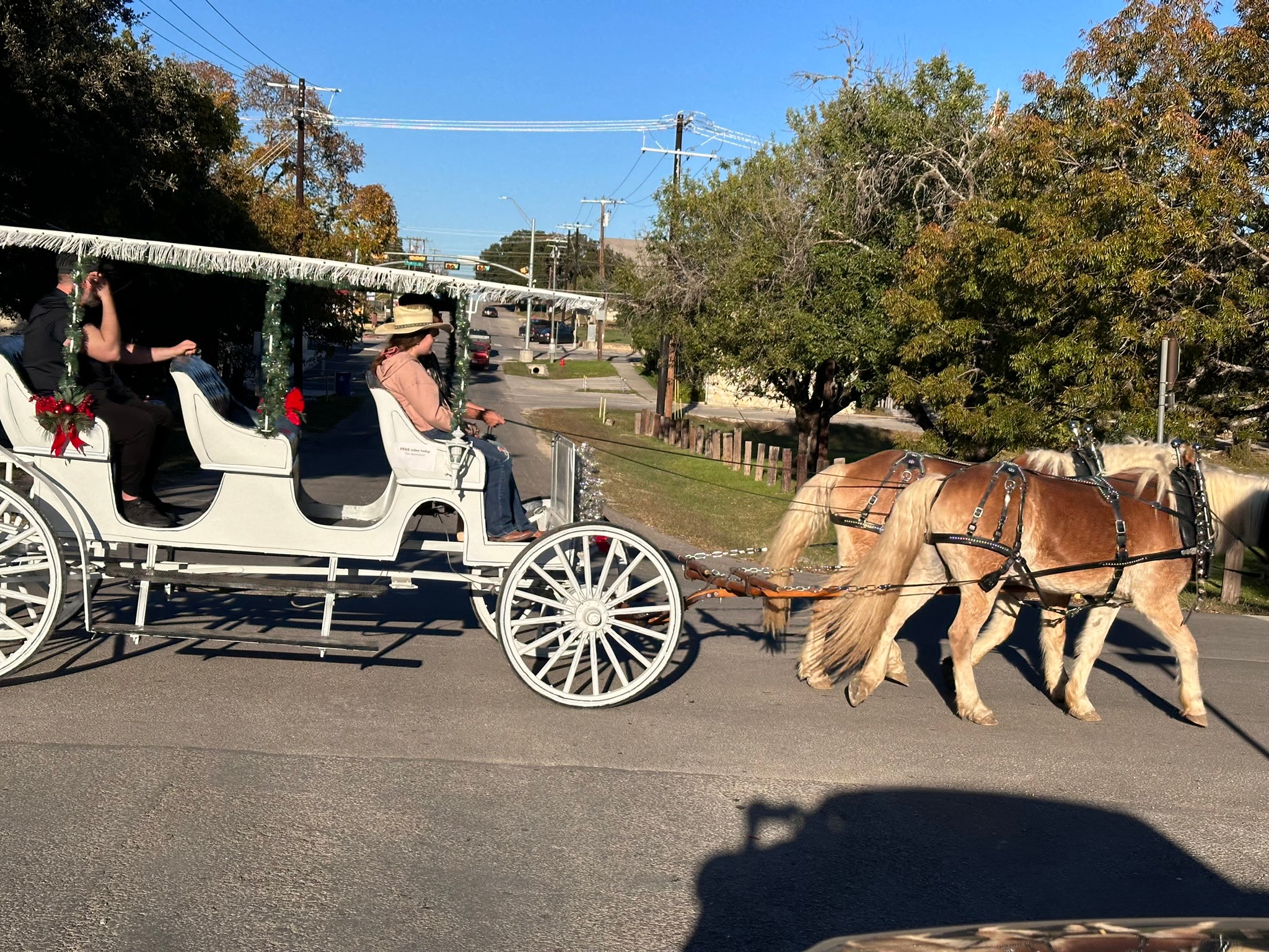 Horse-drawn carriage with four people riding, pulled by two horses on a street with trees and houses in background.