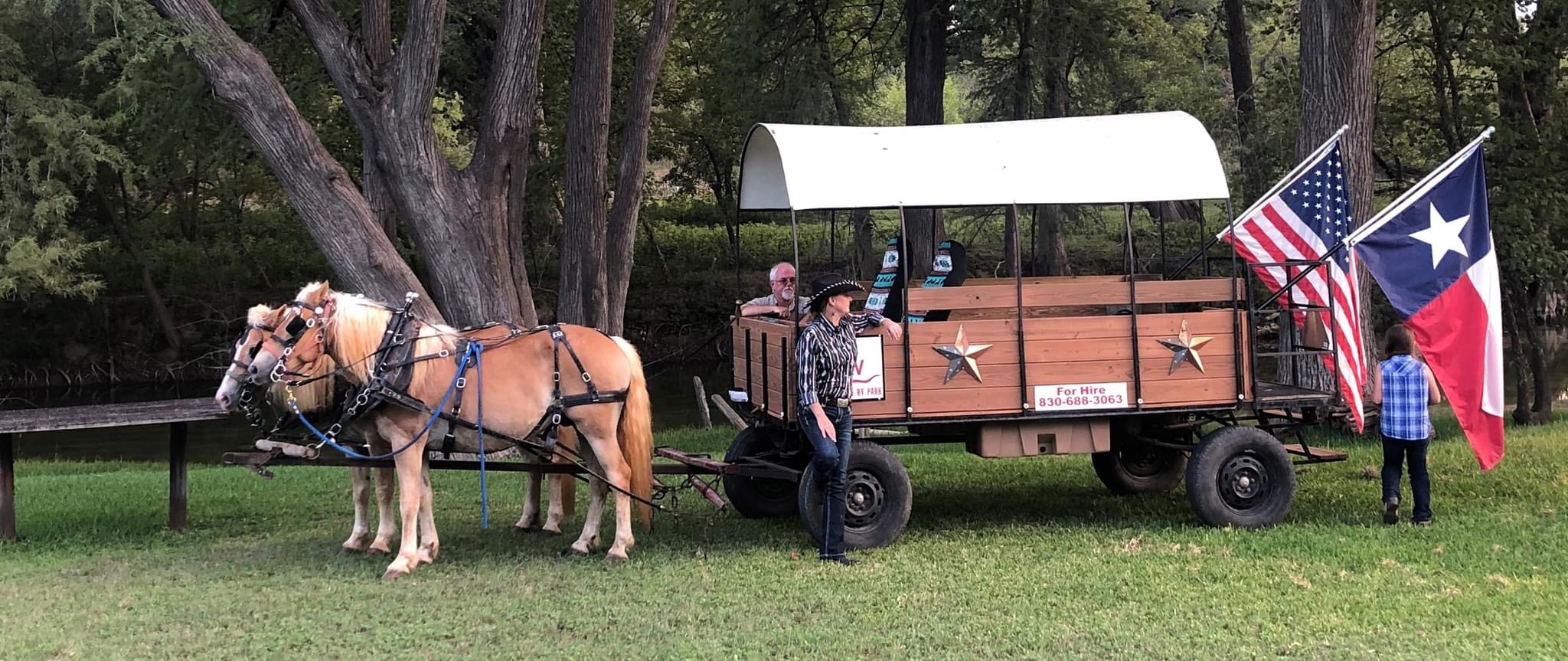Two horses hitched to a wagon with a white canopy, two children nearby, American and Texas flags, trees in background.