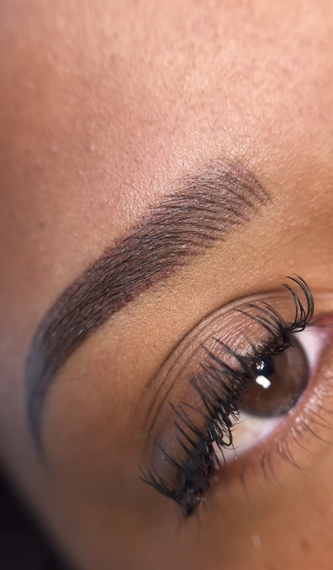 Close-up of a person's eye with well-groomed eyebrow and long eyelashes, skin visible around eye area.