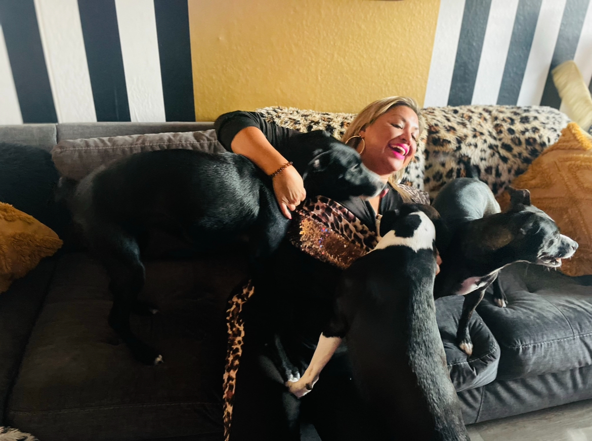 Woman lying on a couch surrounded by multiple dogs, laughing and hugging them, with striped and yellow wall in background.
