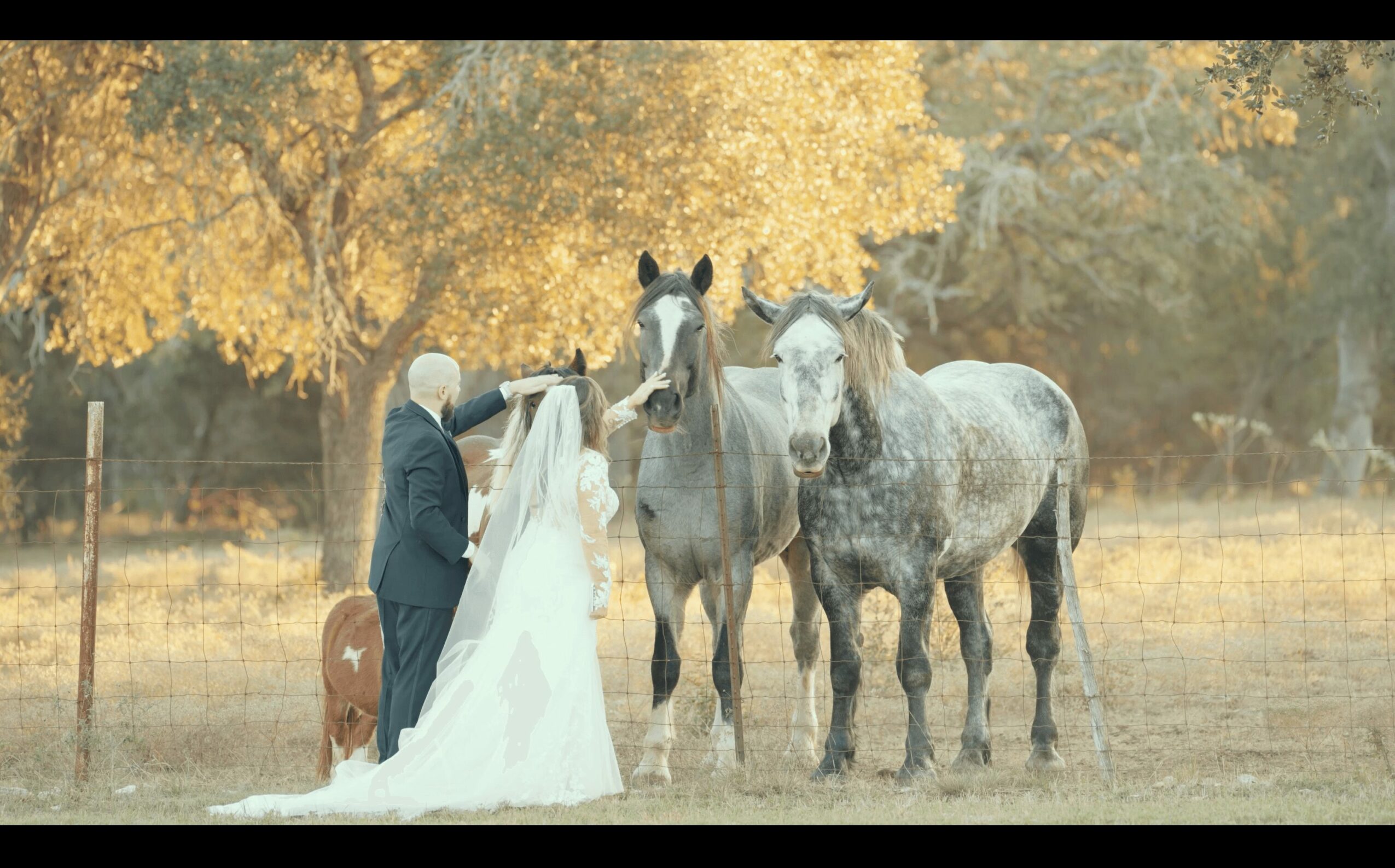 A bride and groom stand near three horses in a field with trees in the background.