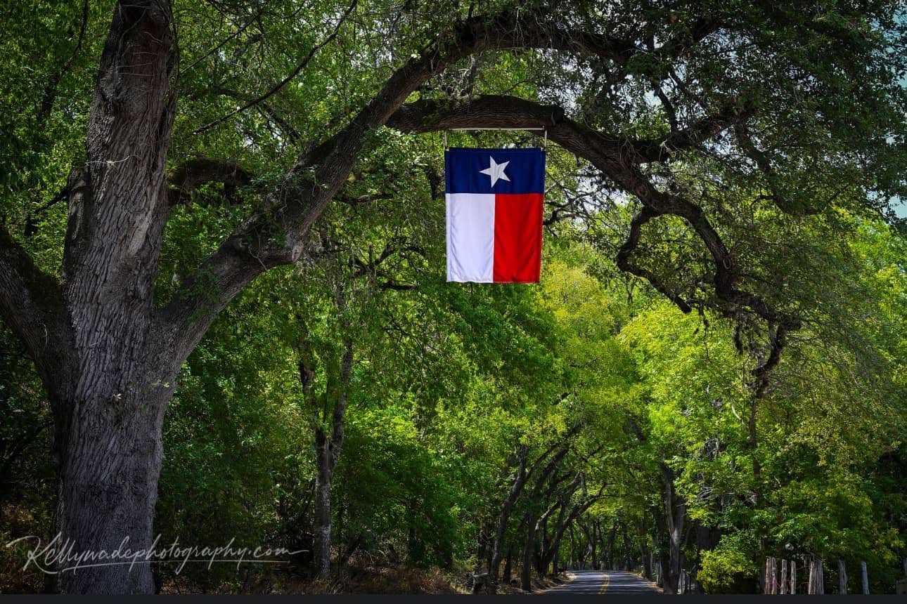 A Texas flag hanging from a tree branch over a tree-lined street, with green leaves and sunlight filtering through.