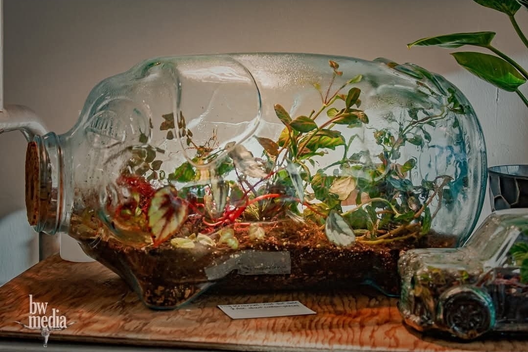 A large glass jar with plants and soil inside, placed on a wooden surface, with a plant in the background.