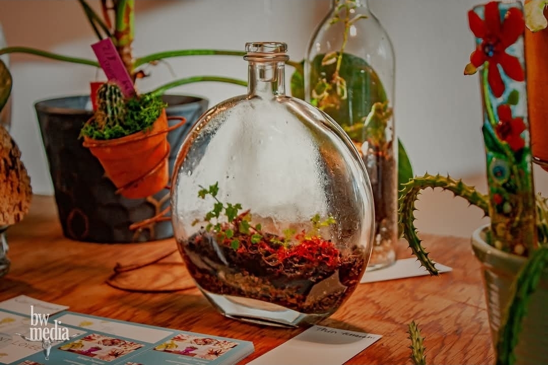 Round glass terrarium with plants and soil inside, on a wooden table with potted plants and decorative items nearby.