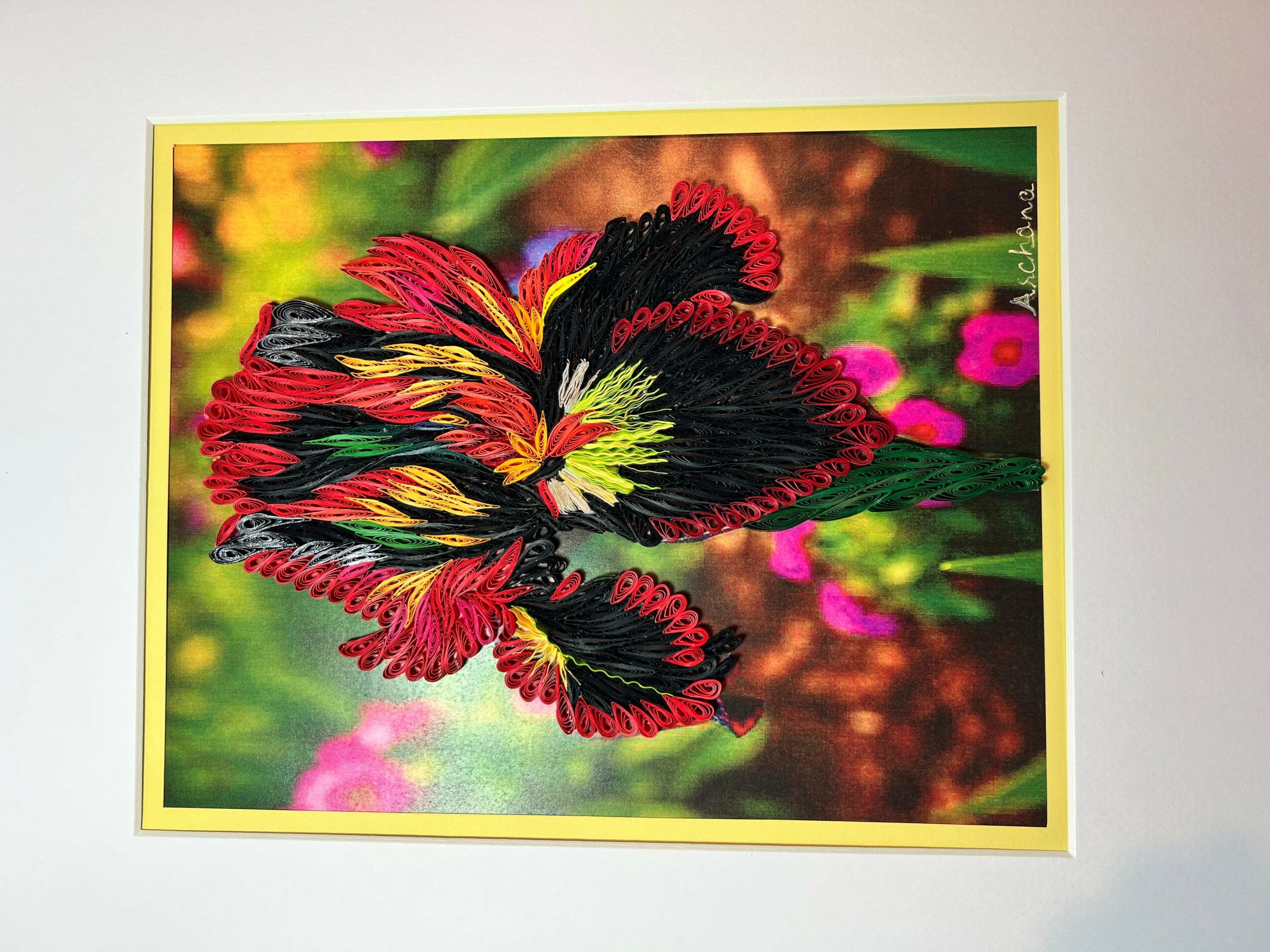 Colorful flower with red, yellow, and black petals against a blurred green and pink background.