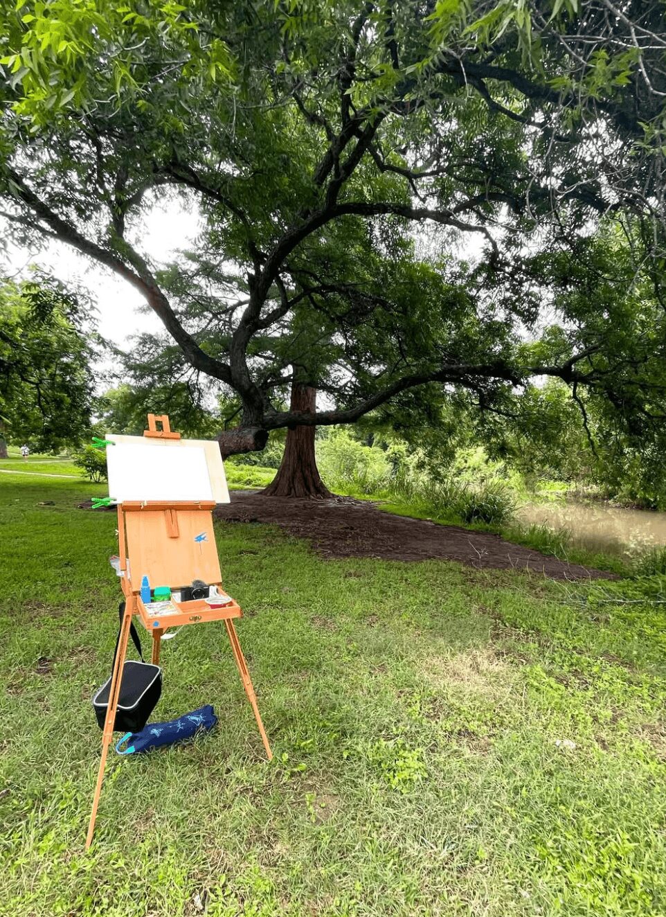 Easel with painting supplies set up outdoors on grass, large tree with sprawling branches in background.