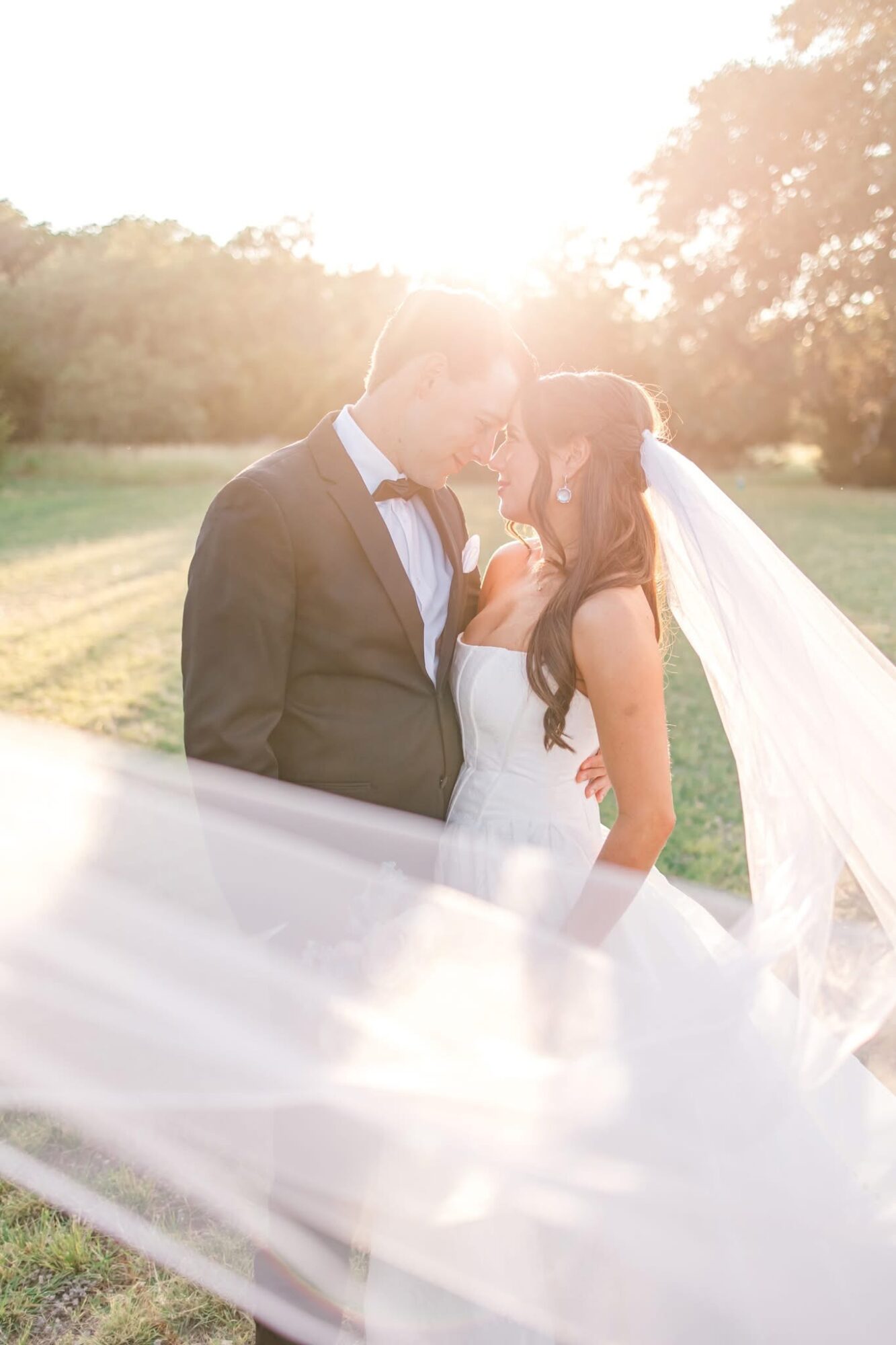 A bride and groom kiss outdoors with sunlight behind them, trees in the background, and a flowing veil.