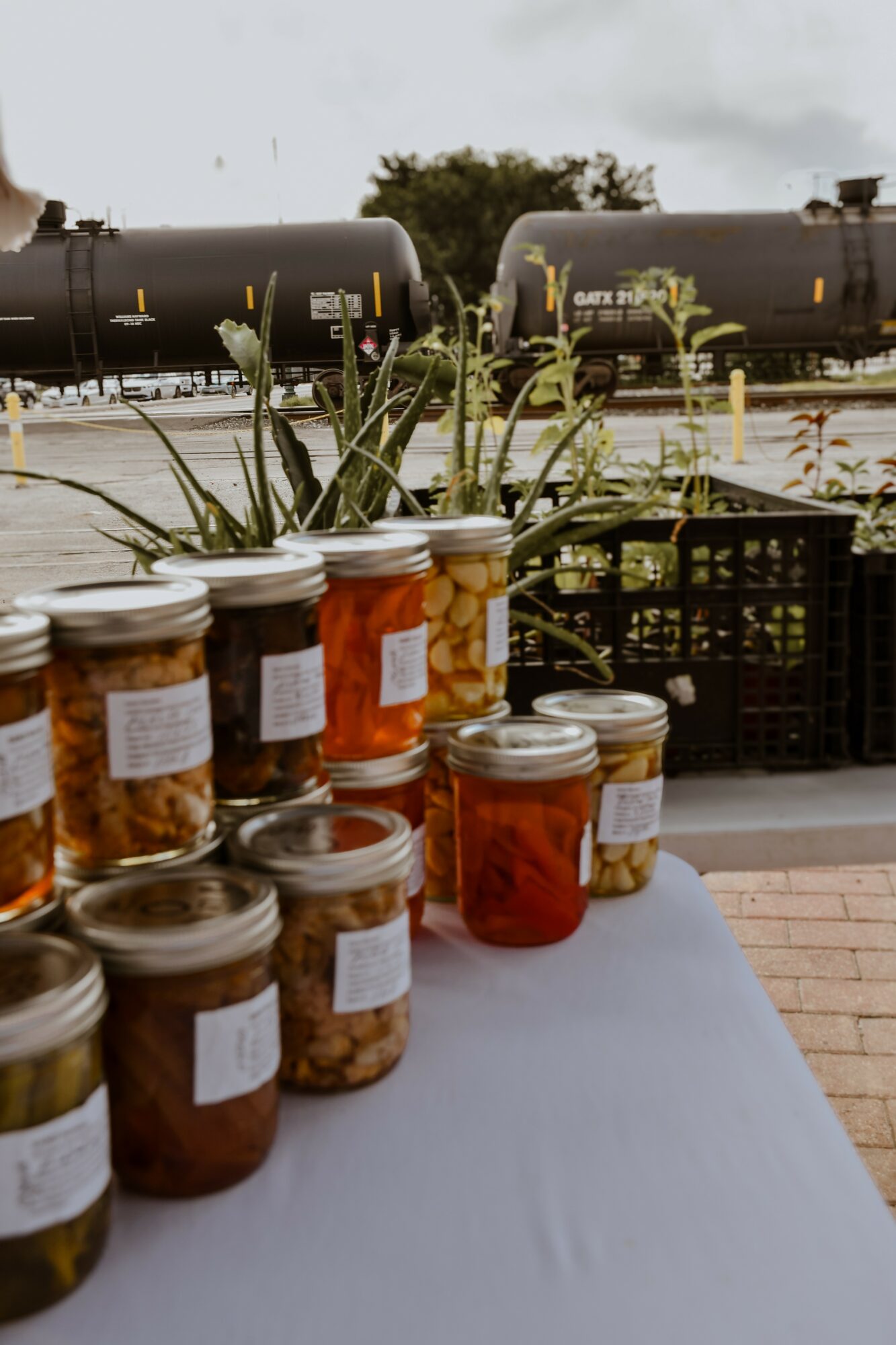 Jars of preserved food on a table outdoors with tanks and trees in the background.