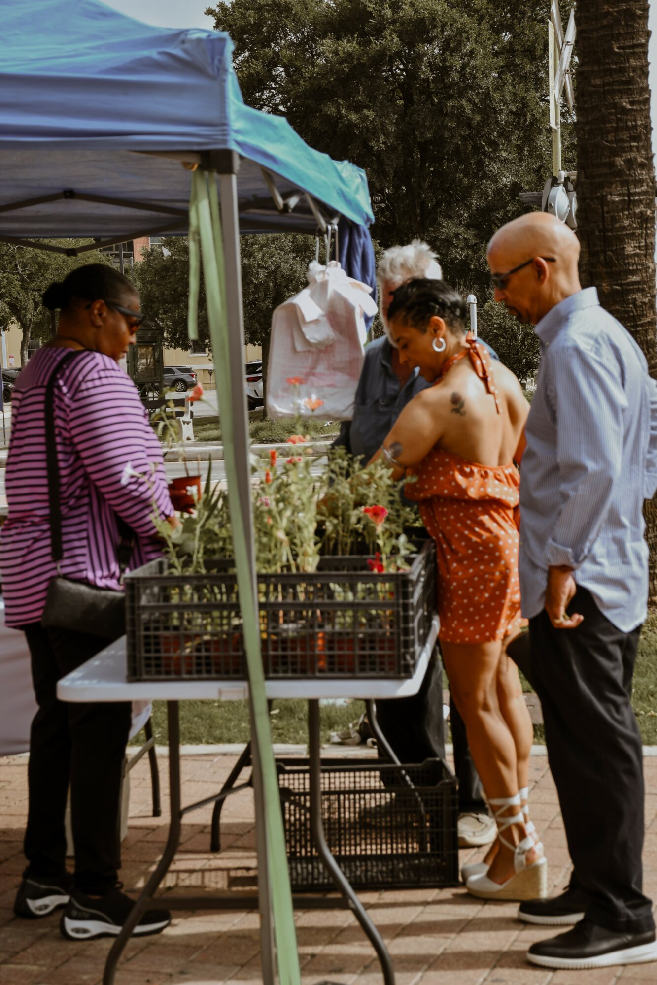 Four people gather around a table at an outdoor market stall with a blue canopy, with trees and a palm tree in background.