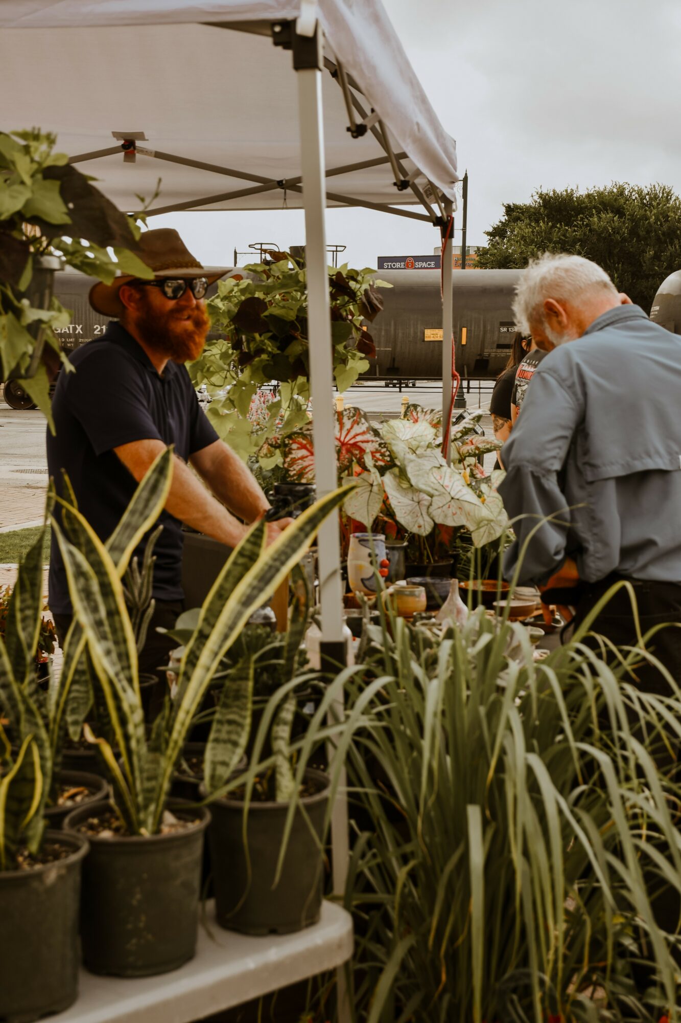 Two men converse at a plant market stall with potted plants, under a canopy, outdoors on a cloudy day.