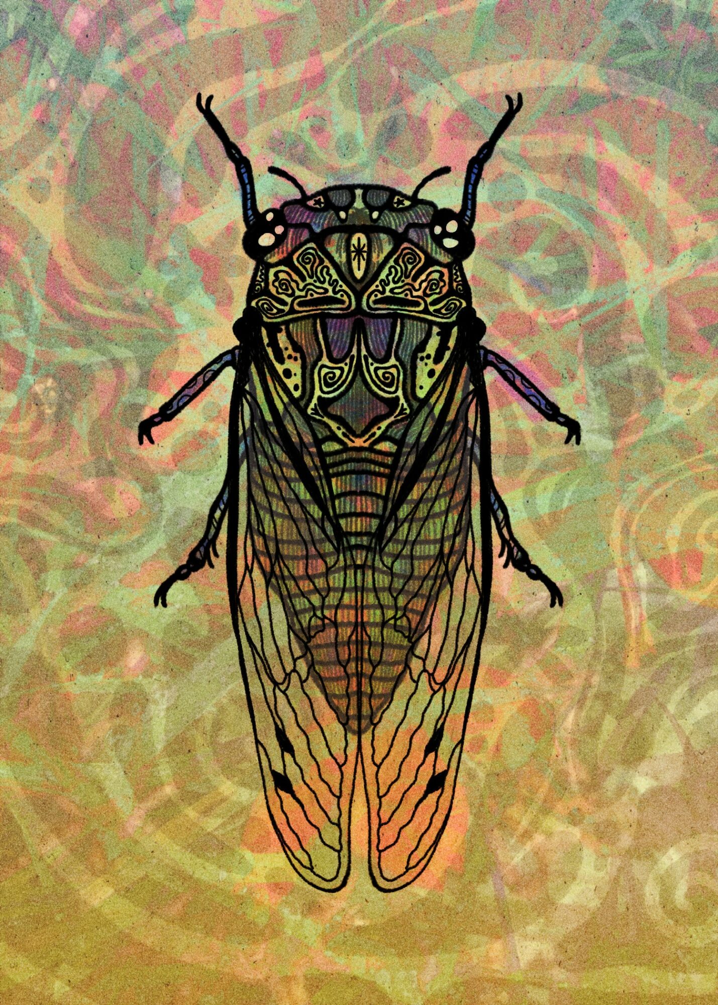 Detailed illustration of a cicada with intricate patterns on its body and wings, set against a colorful, abstract background.