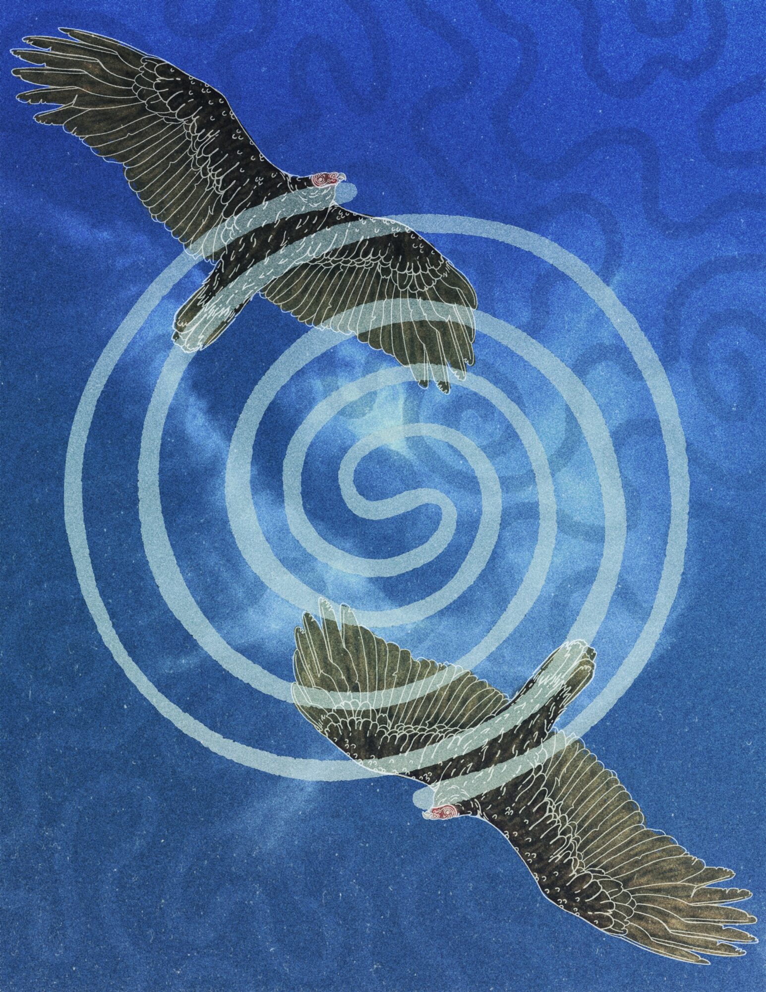 Two birds flying in a spiral pattern against a blue background with circular lines.