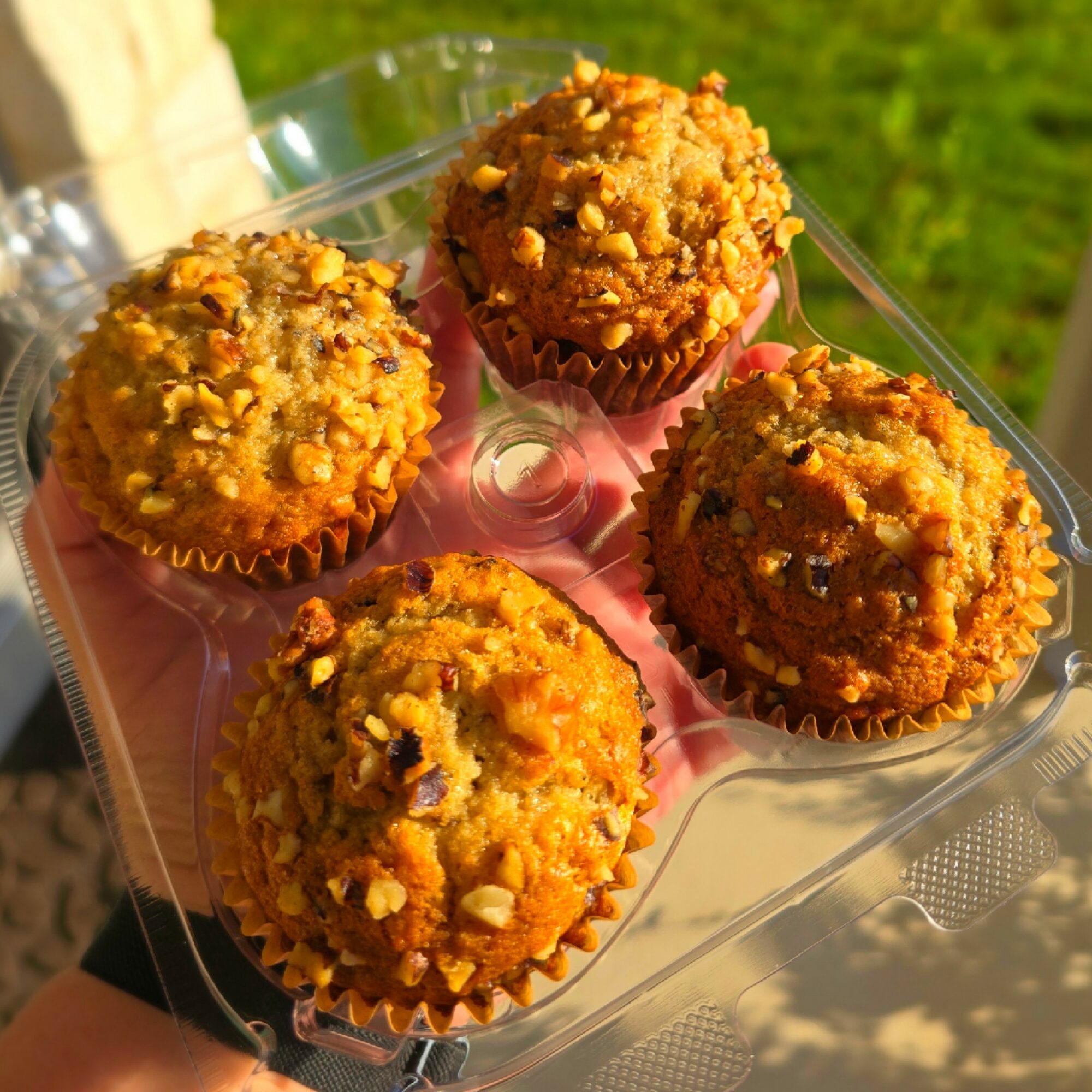 Four muffins with crumbly topping in a plastic container outdoors, sunlight, green grass background.