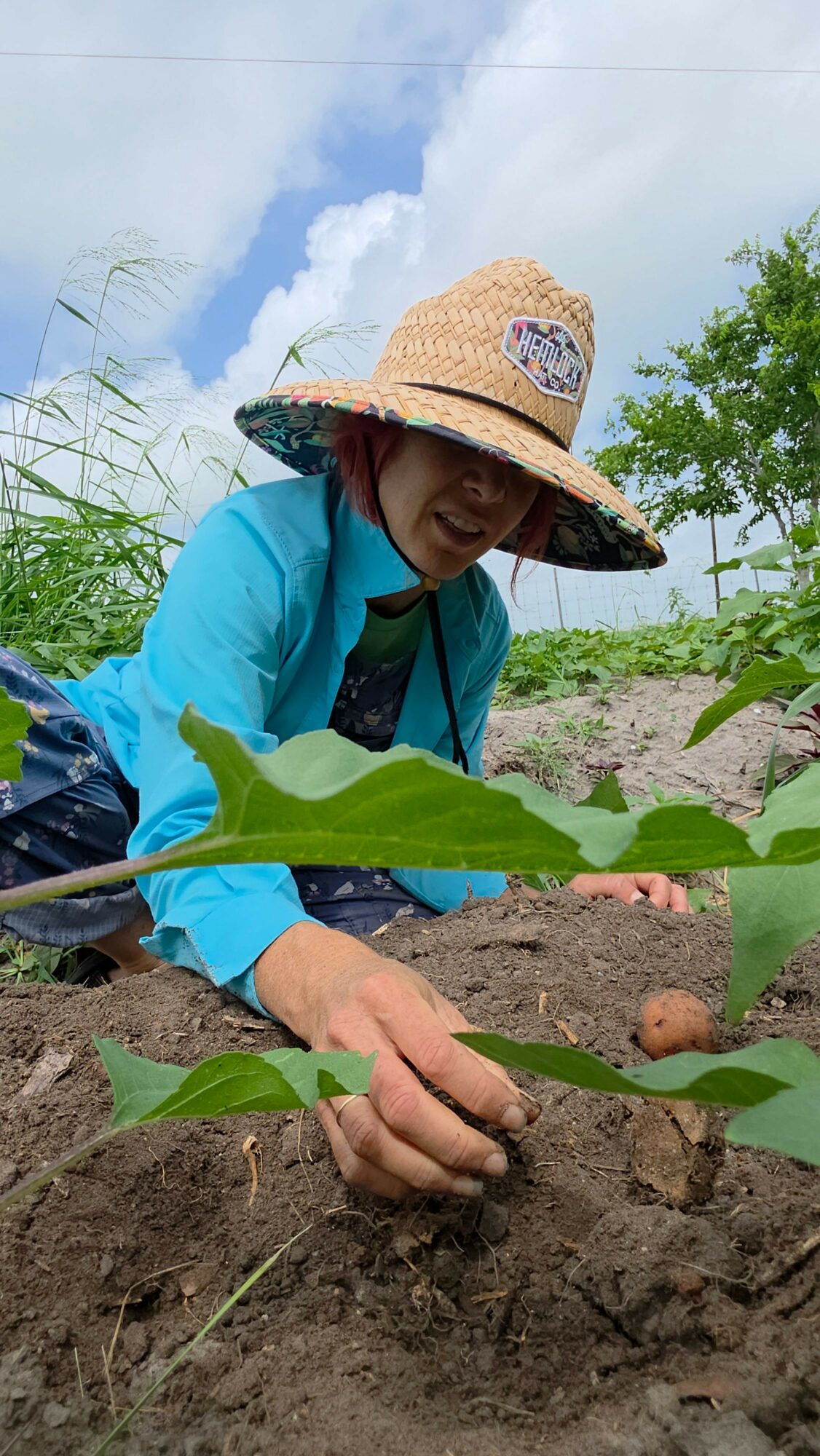 Child planting a seedling in soil outdoors, wearing a straw hat and blue jacket, with green plants and sky in background.
