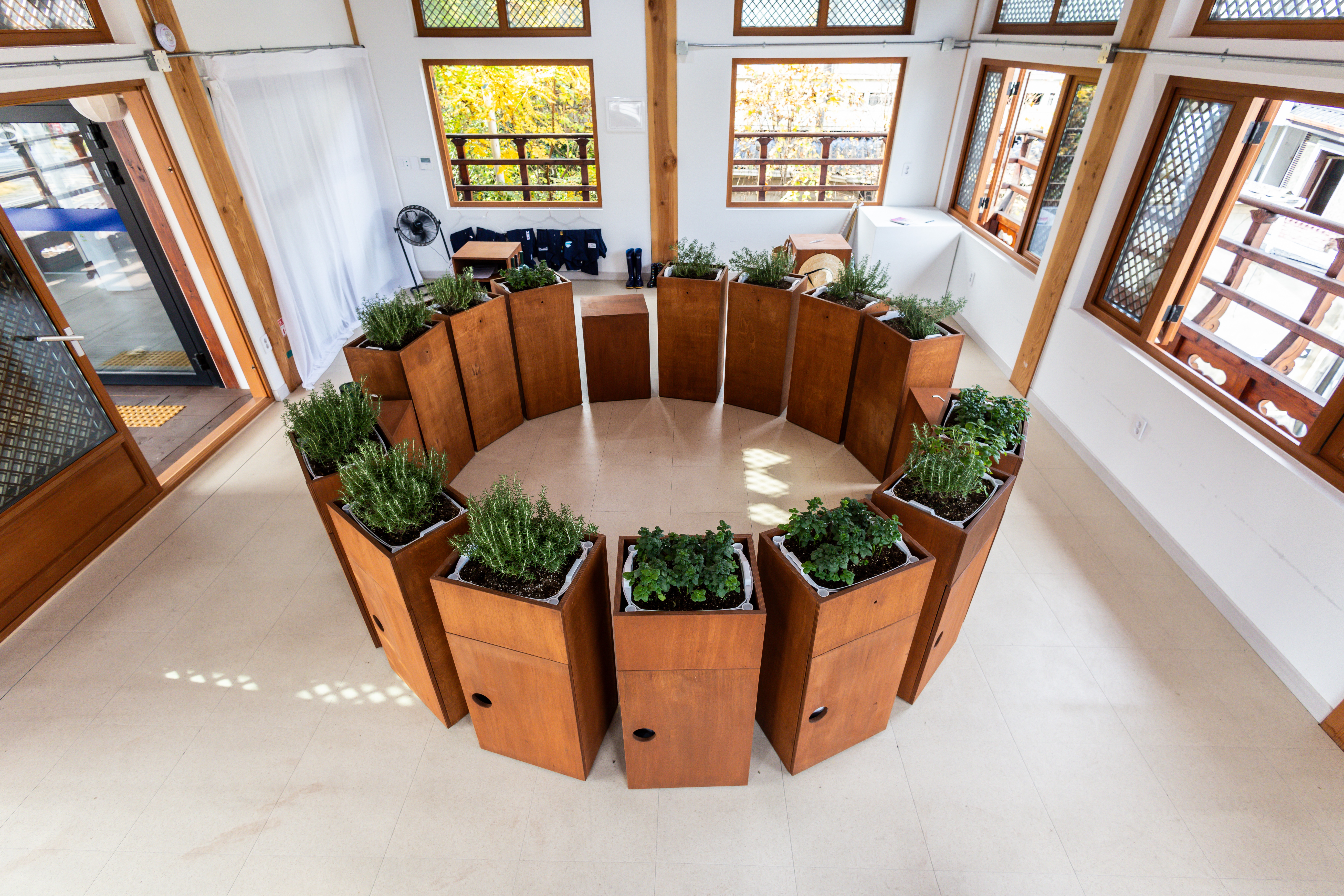 Indoor space with a circular arrangement of wooden planters filled with green plants, surrounded by large windows and white walls.