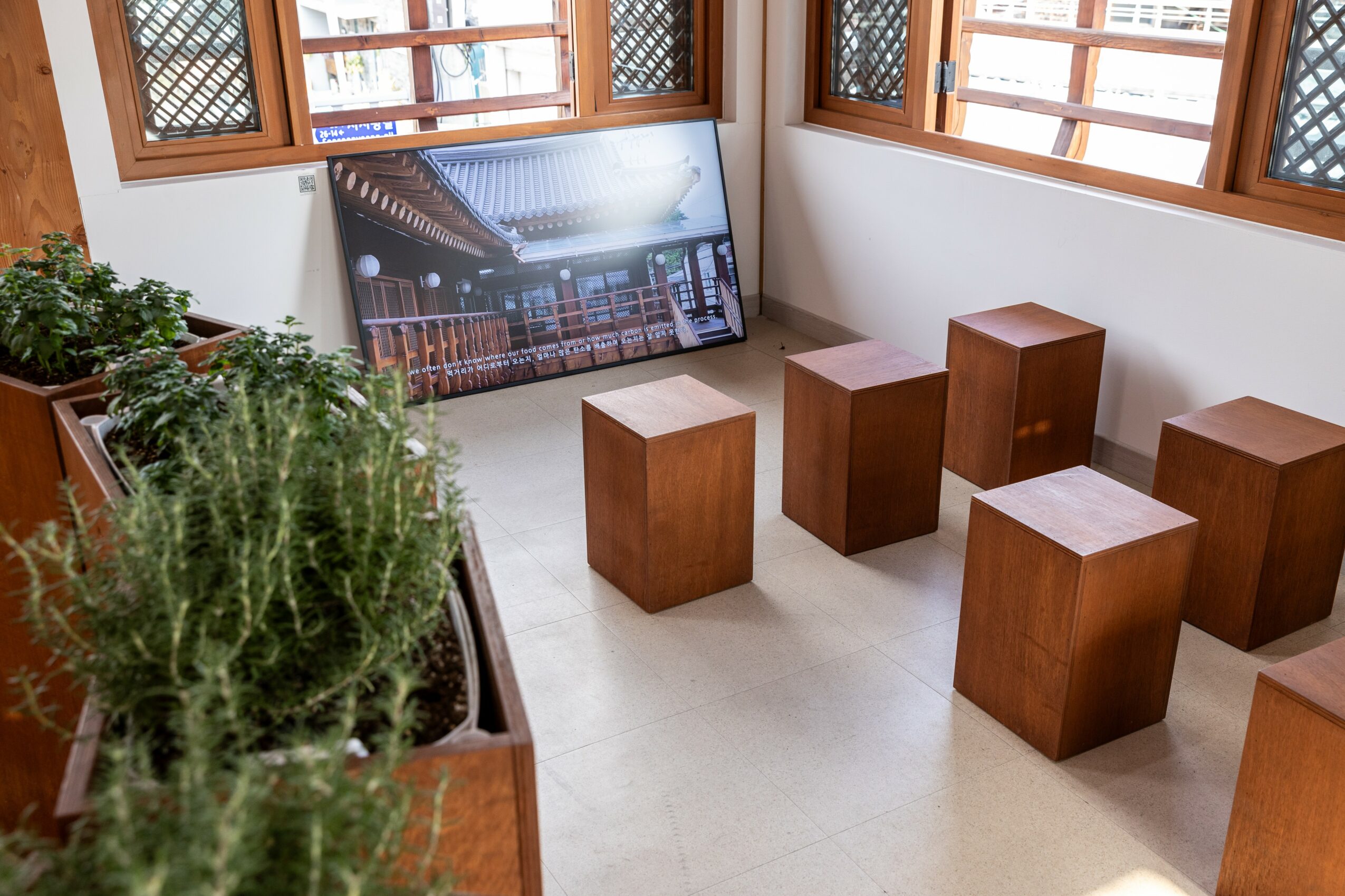 Room with wooden stools, potted plants, and a large screen on the floor, windows with wooden frames, and white walls.