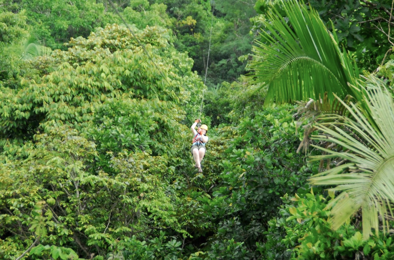 Person in white clothing and helmet climbing a tree in dense green jungle.
