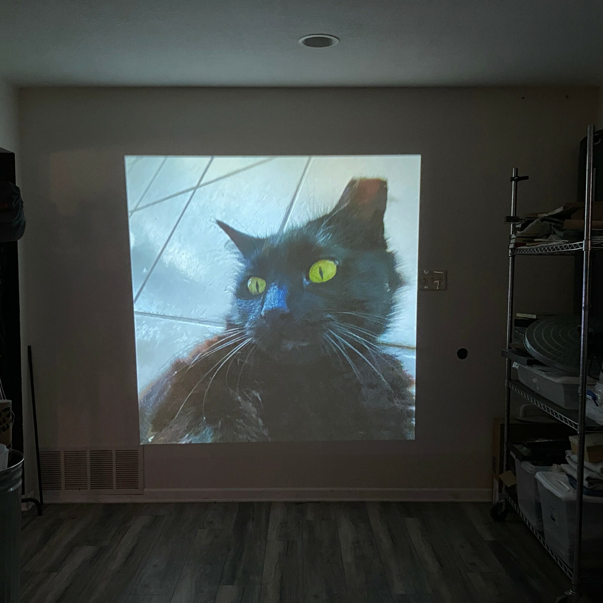 Projection of a black cat with yellow eyes on a wall, with a blue background and diagonal lines.