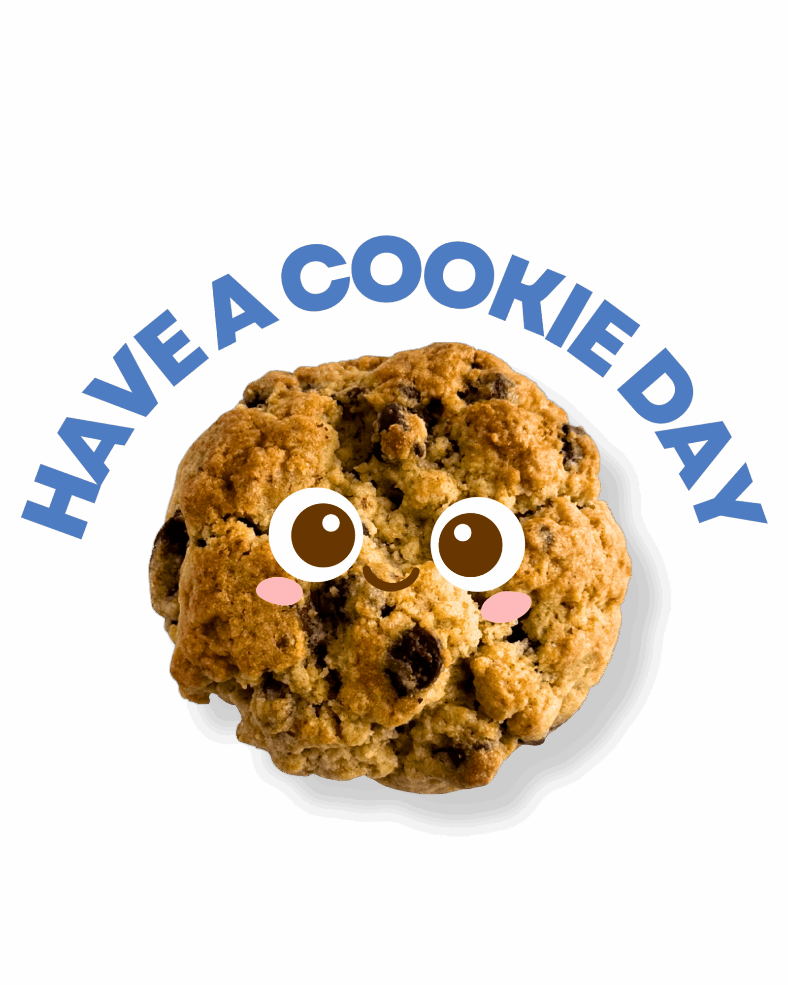 Chocolate chip cookie with cartoon eyes and pink cheeks, with text 'Have a Cookie Day' above, on a black background.