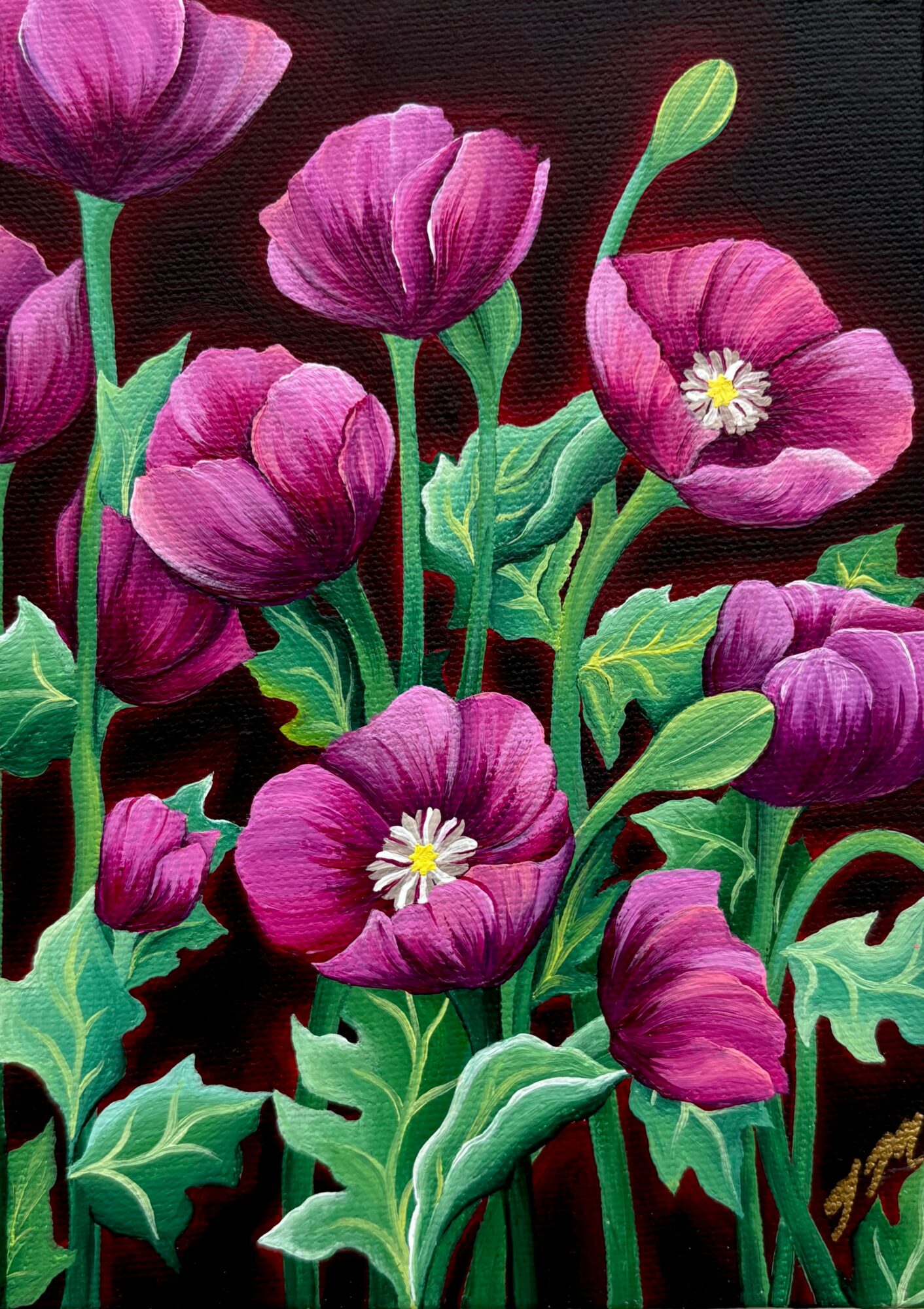 Cluster of purple and pink flowers with green leaves against a dark background.
