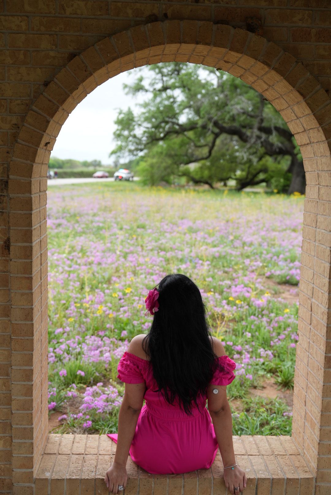 Person with long dark hair in pink dress looking at a garden with pink and purple flowers through an arched brick window.