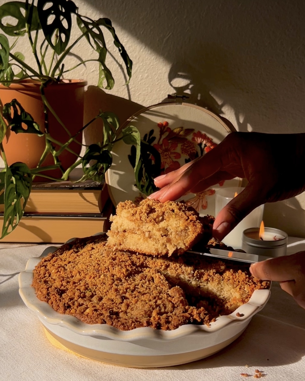 Person's hand holding a piece of breaded fried food over a plate with more fried items, in a sunlit room with plants and a teapot.