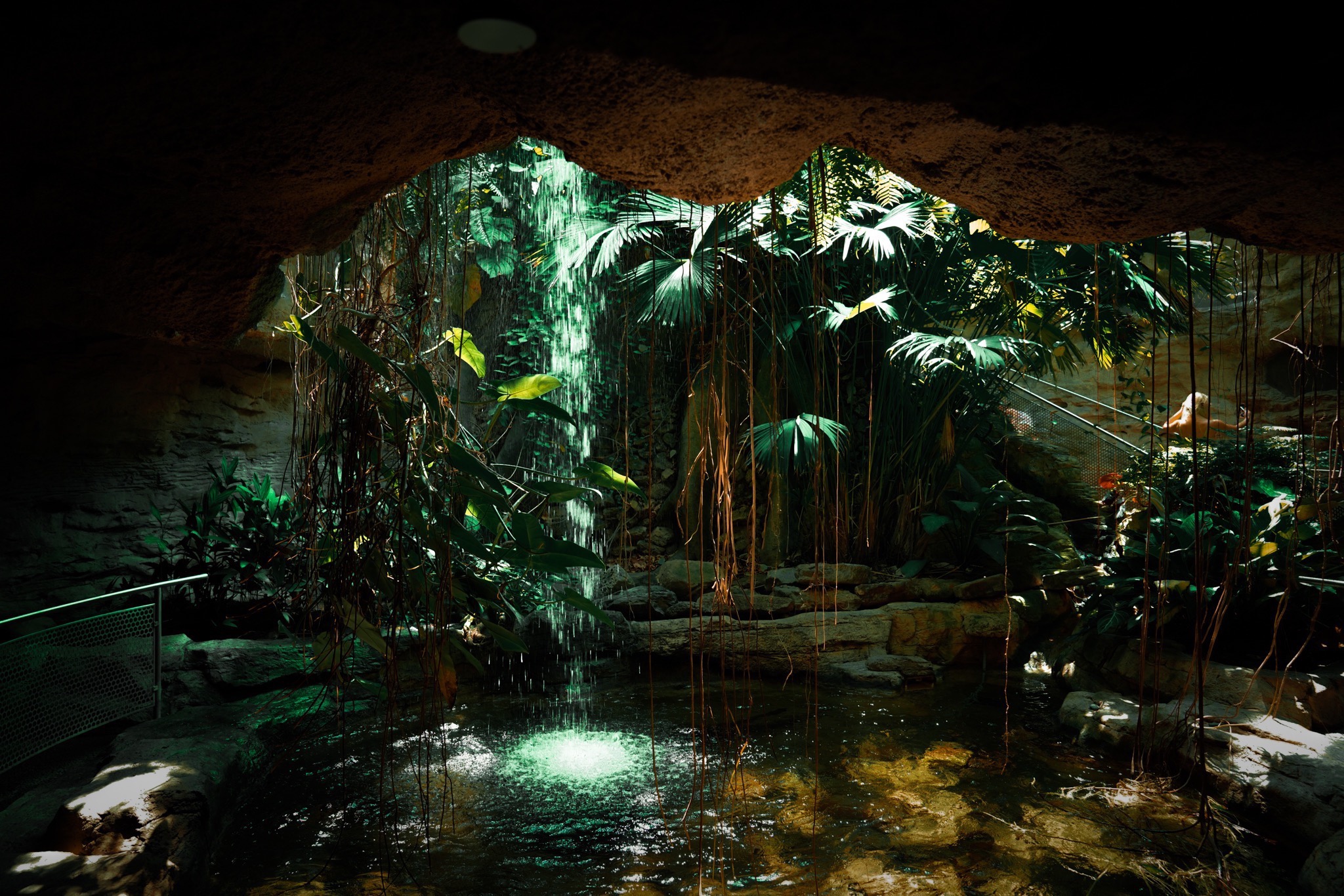 View from inside a cave looking out at dense jungle with waterfall and lush greenery.