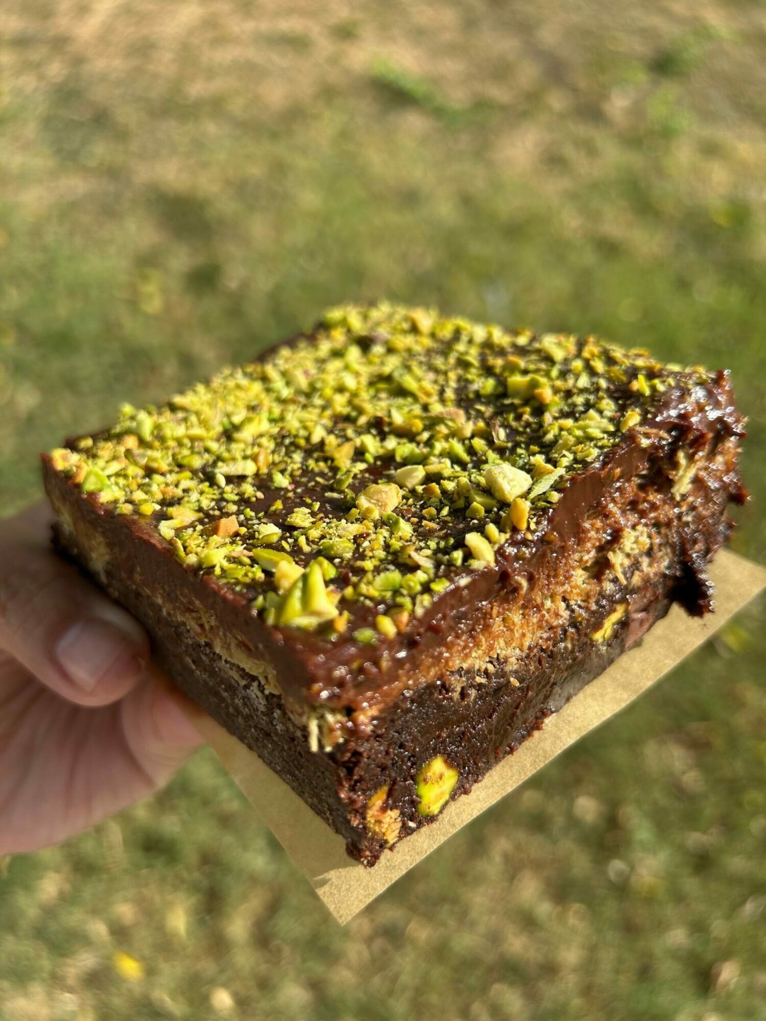 Hand holding a rectangular chocolate cake topped with crushed pistachios, outdoors on grass.