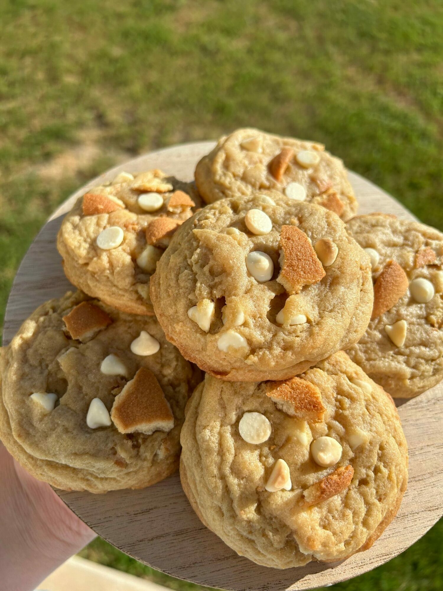 Plate of cookies topped with nuts and white chocolate chips, outdoors on grass, viewed from above.