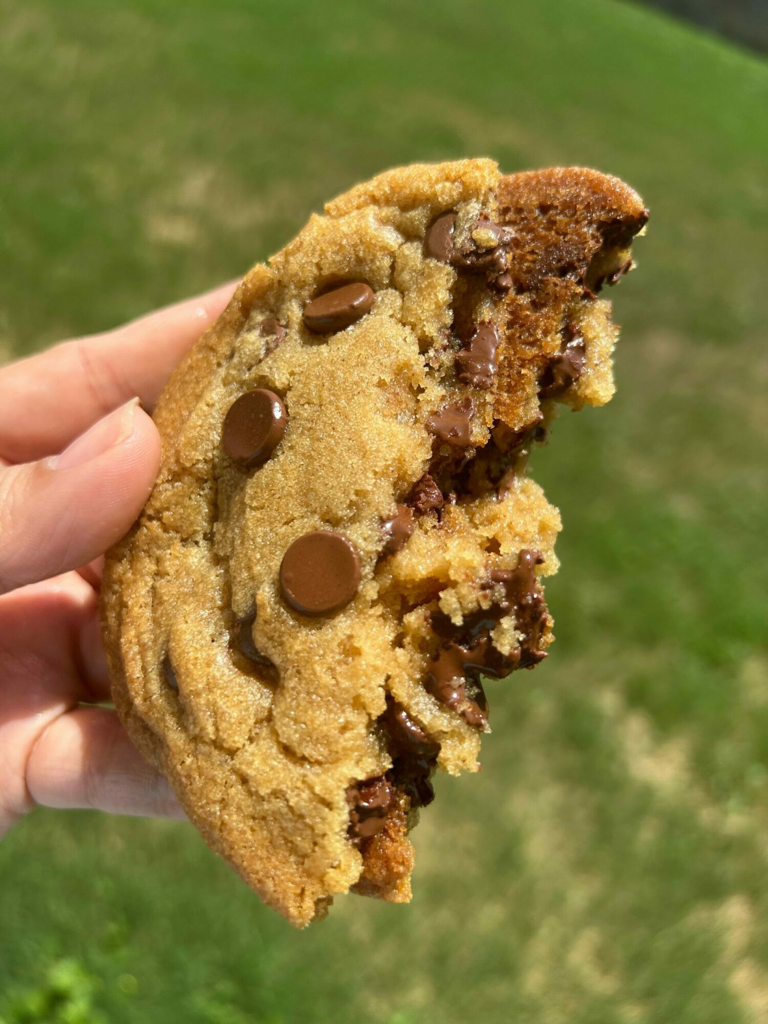 Person holding a large chocolate chip cookie with a smiley face design, outdoors on grass.