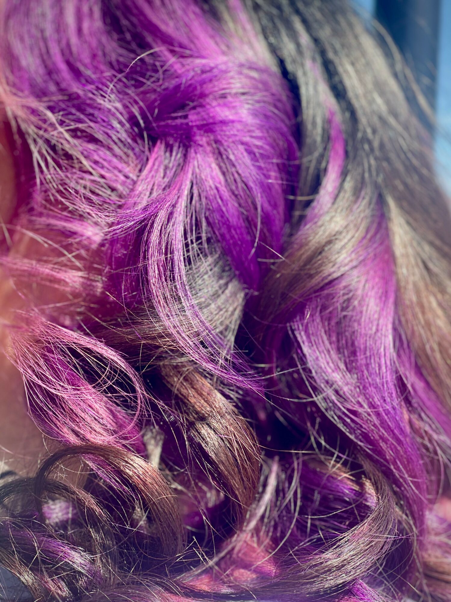 Close-up of curly hair with purple and brown highlights, styled in loose curls.
