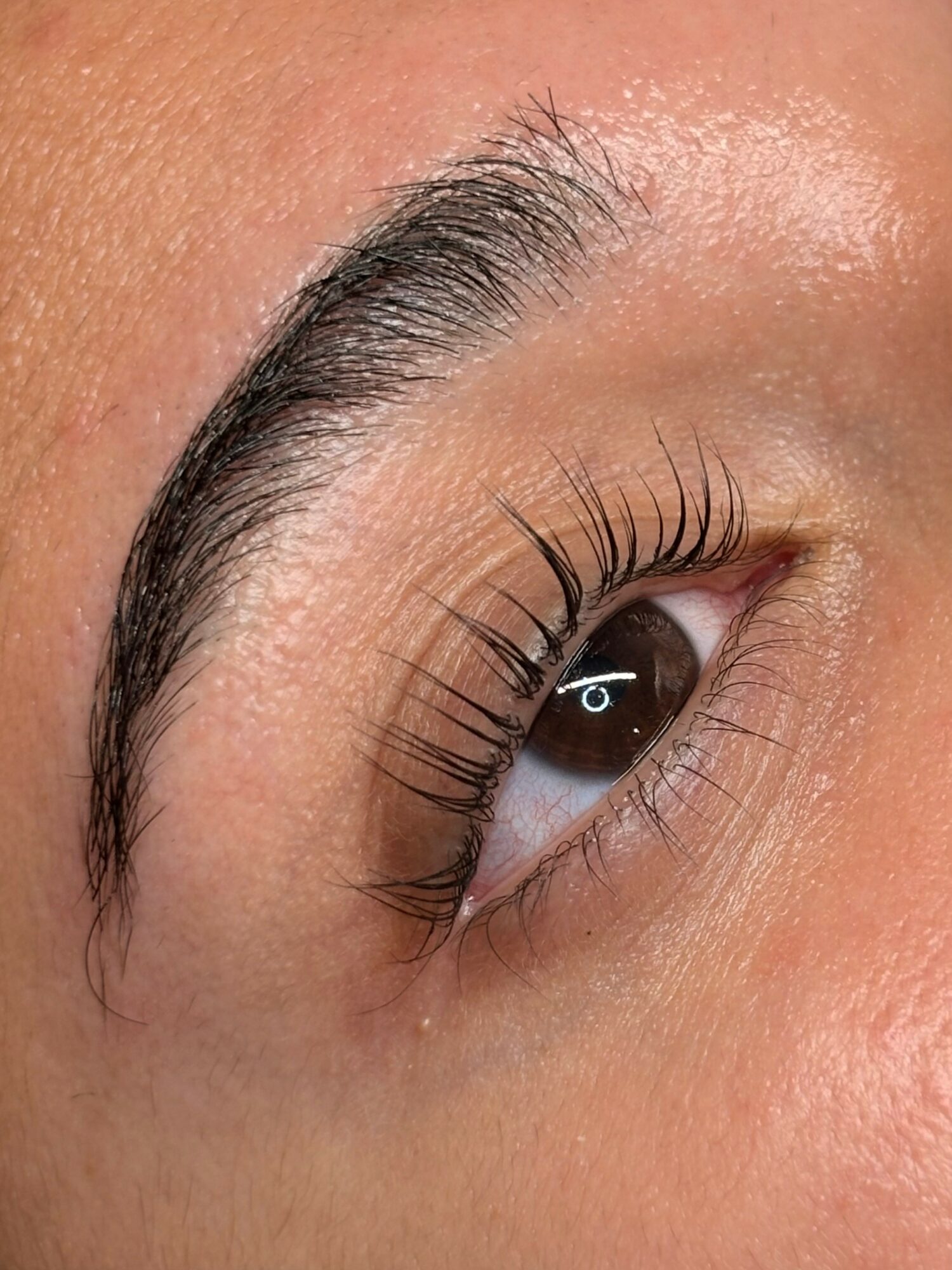 Close-up of a person's eye with well-groomed eyebrow and long eyelashes, looking slightly upward.