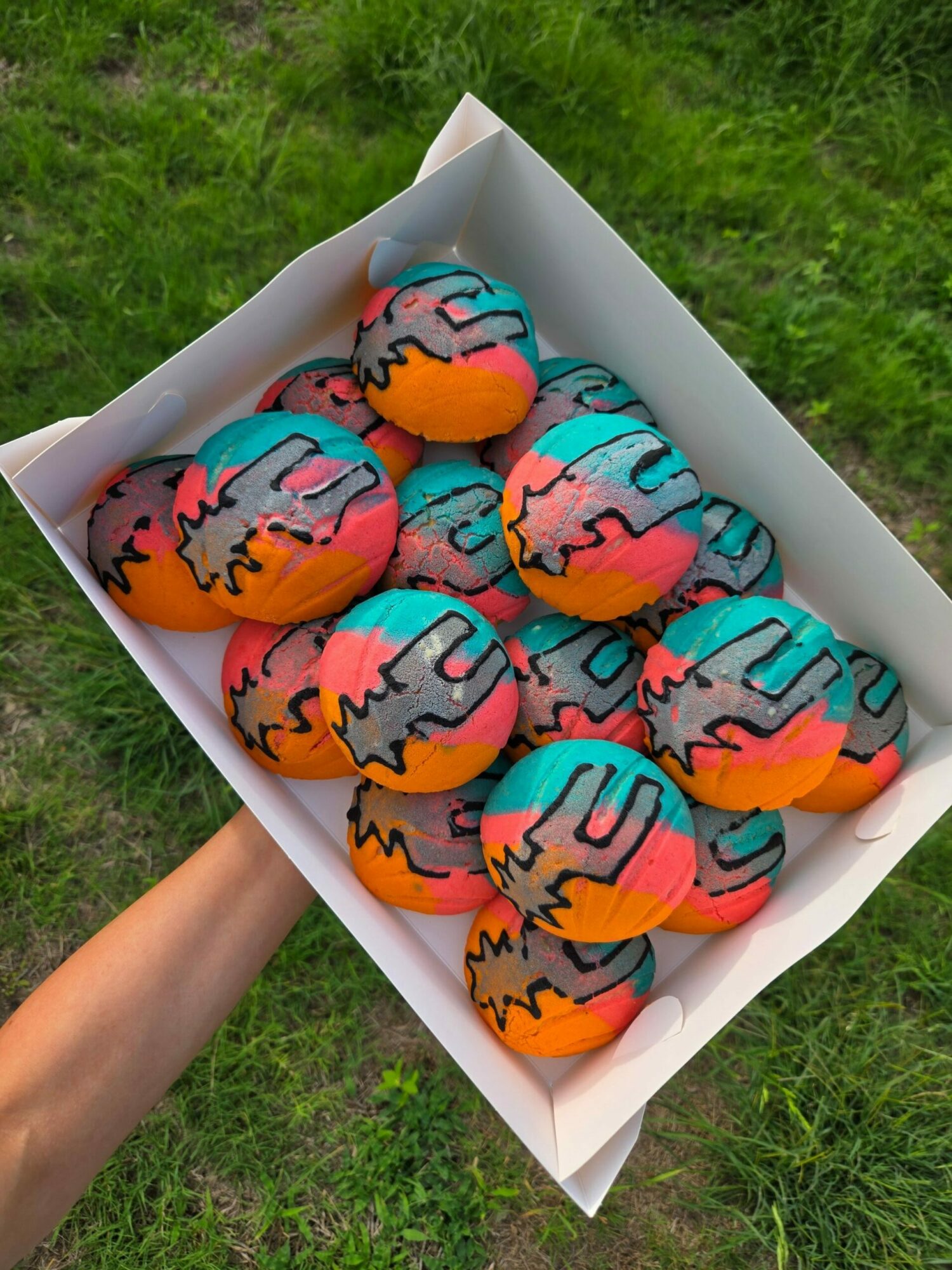 Person holding a white box filled with colorful decorated cookies outdoors on grass.