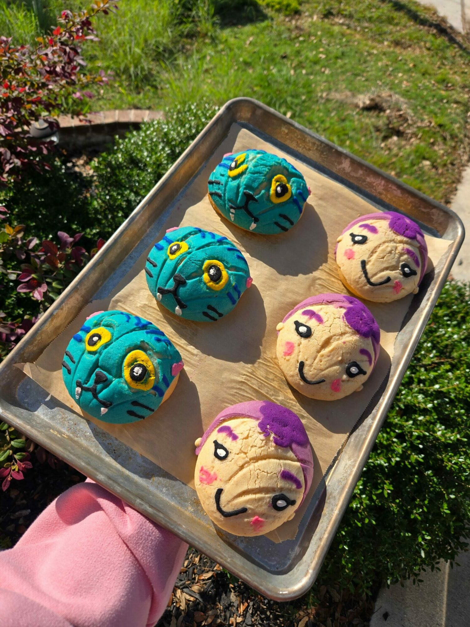 Tray of six decorated cupcakes with colorful faces and designs, held outdoors with greenery in background.