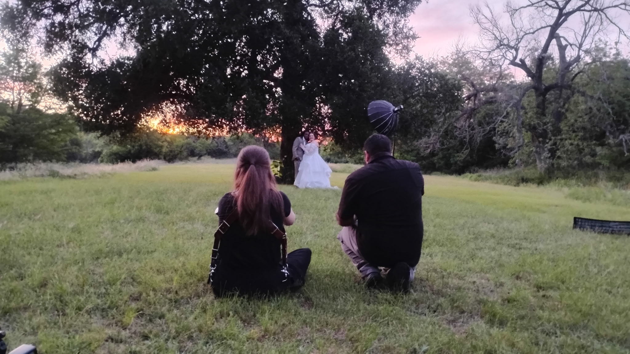 Two people sit on grass facing a large tree, with a couple in wedding attire in the background, sunset sky.