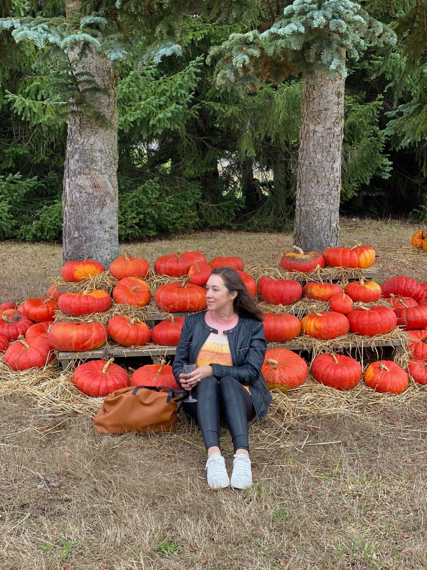 Person sitting on ground with pumpkins arranged on the ground and trees in the background.