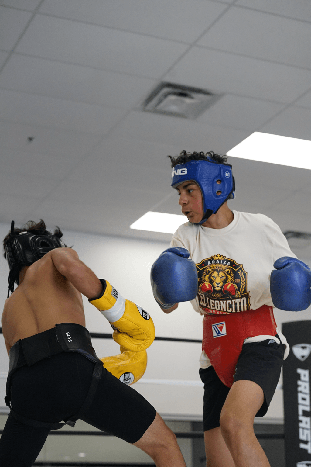 Two people sparring in a boxing gym, one wearing blue headgear and gloves, the other in yellow gloves, both in fighting stance.