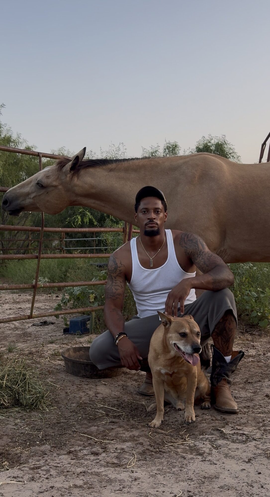 Man crouching with two dogs in front of a horse and a fence outdoors, with trees and sky in background.